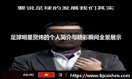 足球明星贺炜的个人简介与精彩瞬间全景展示